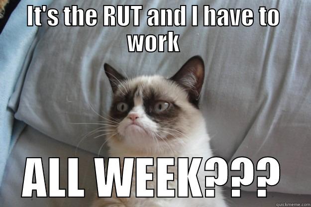 IT'S THE RUT AND I HAVE TO WORK ALL WEEK??? Grumpy Cat