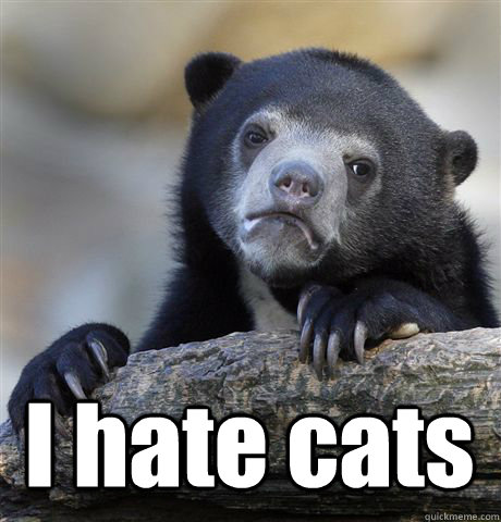 I hate cats  Confession Bear