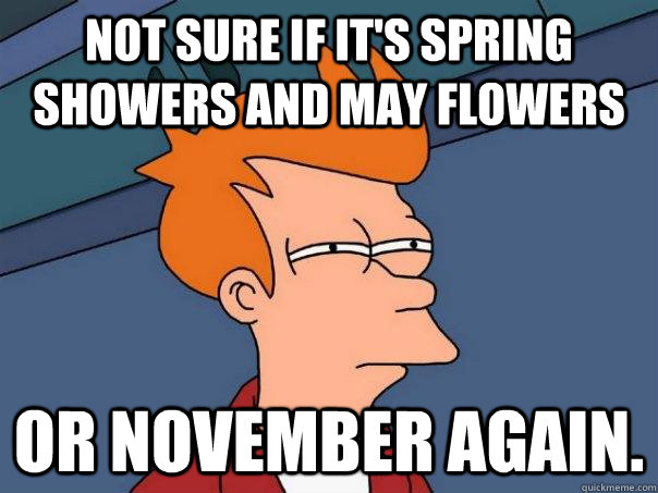 Not sure if it's spring showers and May flowers Or November again.  Futurama Fry