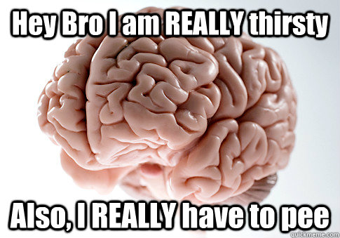 Hey Bro I am REALLY thirsty Also, I REALLY have to pee    Scumbag Brain