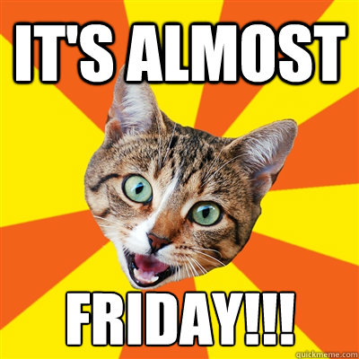 It's almost FRIDAY!!!  Bad Advice Cat