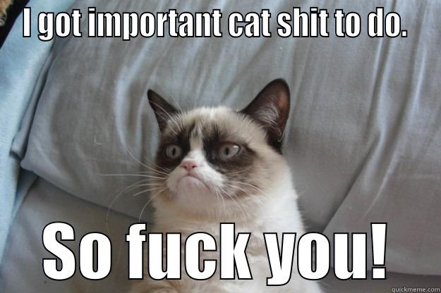 Important Cat Shit - I GOT IMPORTANT CAT SHIT TO DO.  SO FUCK YOU! Grumpy Cat