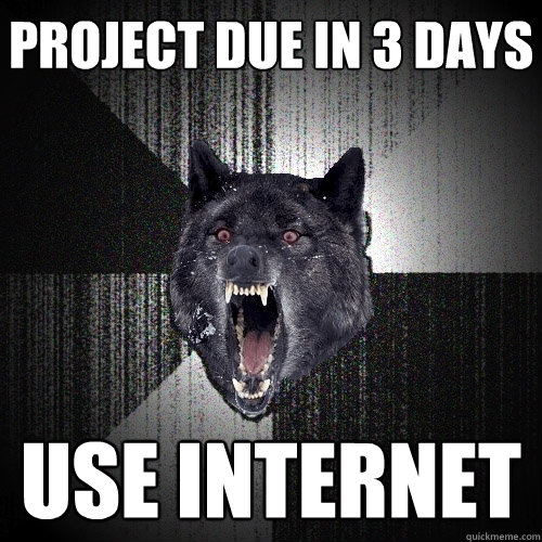 project due in 3 days use internet  Insanity Wolf