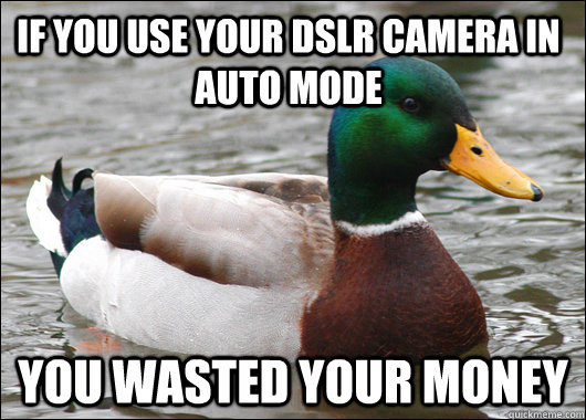if you use your dslr camera in auto mode you wasted your money  Actual Advice Mallard