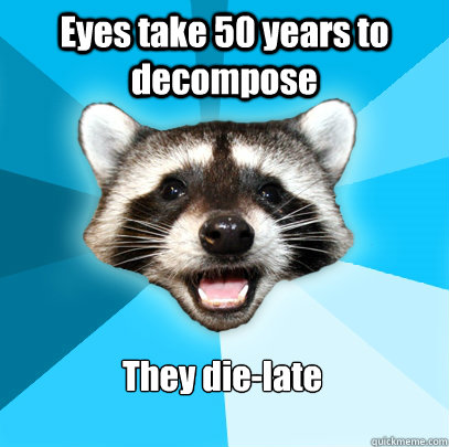 Eyes take 50 years to decompose They die-late  Lame Pun Coon