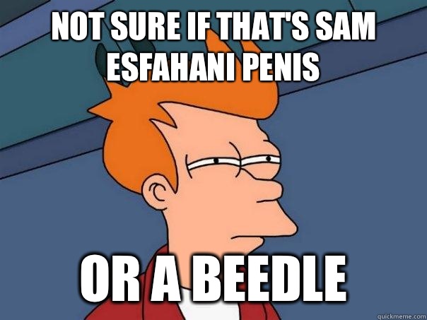 Not sure if That's Sam Esfahani penis Or a beedle  Futurama Fry