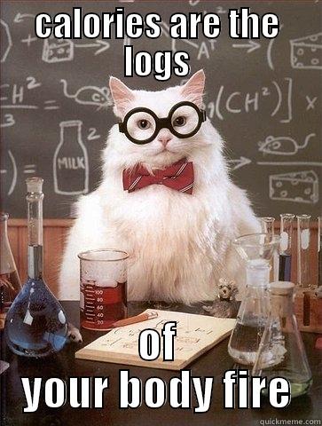 inside joke - CALORIES ARE THE LOGS OF YOUR BODY FIRE Chemistry Cat