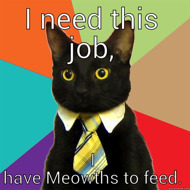 I NEED THIS JOB, I HAVE MEOWTHS TO FEED. Business Cat