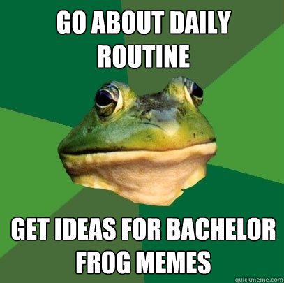 go about daily routine get ideas for bachelor frog memes  Foul Bachelor Frog