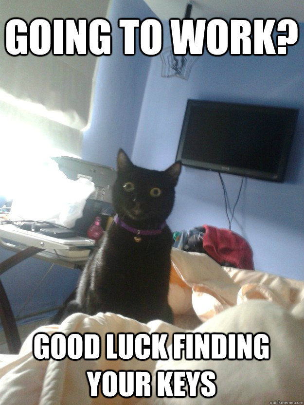 Going to work? Good luck finding your keys  overly attached cat