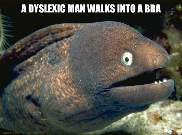 A dyslexic man walks into a bra   Bad Joke Eel
