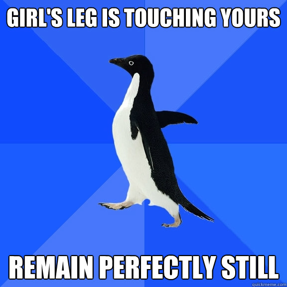 girl's leg is touching yours remain perfectly still  Socially Awkward Penguin