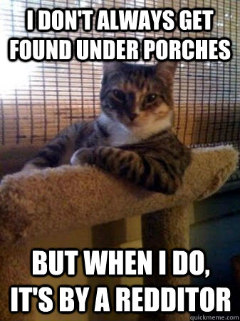 I don't always get found under porches but when I do, it's by a redditor  The Most Interesting Cat in the World