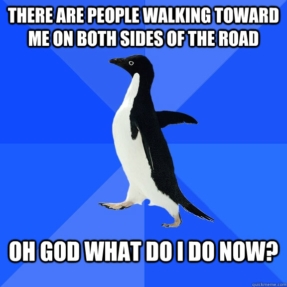 there are people walking toward me on both sides of the road oh god what do i do now?  Socially Awkward Penguin