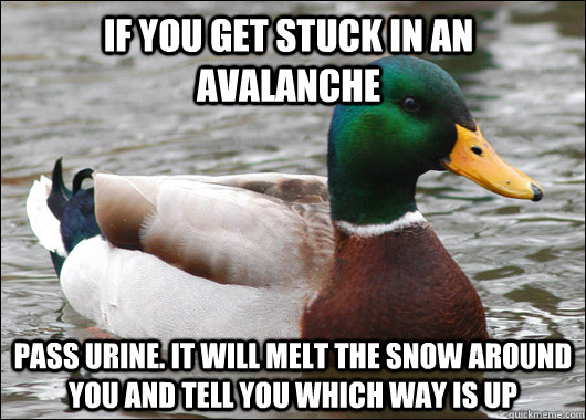 If you get stuck in an avalanche Pass urine. It will melt the snow around you and tell you which way is up  Actual Advice Mallard