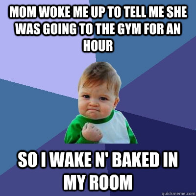 mom woke me up to tell me she was going to the gym for an hour so i wake n' baked in my room  Success Kid