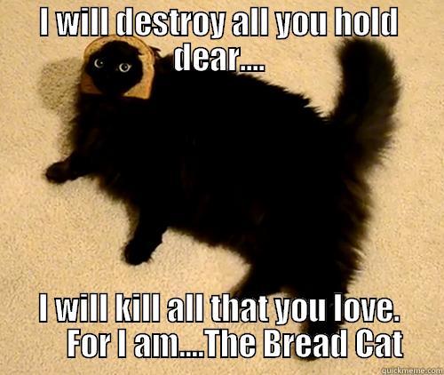 I WILL DESTROY ALL YOU HOLD DEAR.... I WILL KILL ALL THAT YOU LOVE.      FOR I AM....THE BREAD CAT Misc