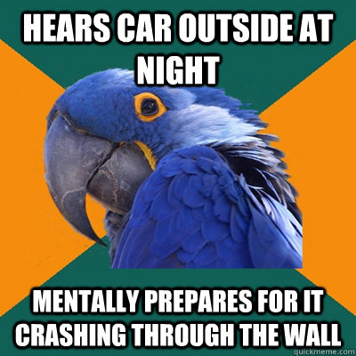 Hears car outside at night Mentally prepares for it crashing through the wall  Paranoid Parrot