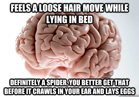 Feels a loose hair move while lying in bed Definitely a spider, you better get that before it crawls in your ear and lays eggs  Scumbag Brain