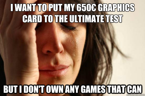 I want to put my 650€ graphics card to the ultimate test but I don't own any games that can  First World Problems