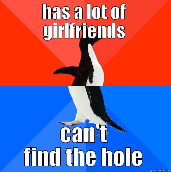 tg pd plz - HAS A LOT OF GIRLFRIENDS CAN'T FIND THE HOLE Socially Awesome Awkward Penguin