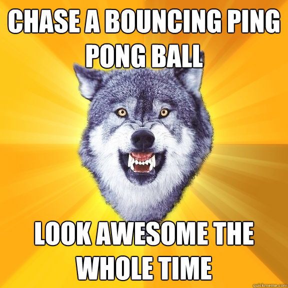 Chase a bouncing ping pong ball look awesome the whole time  Courage Wolf