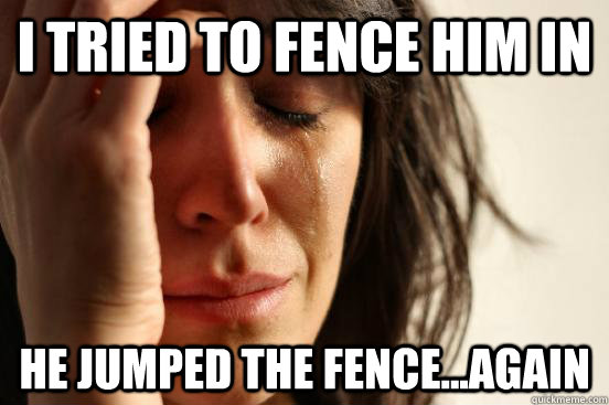 i tried to fence him in he jumped the fence...again  First World Problems