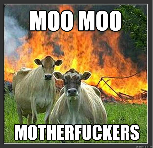 Moo Moo Motherfuckers   Evil cows