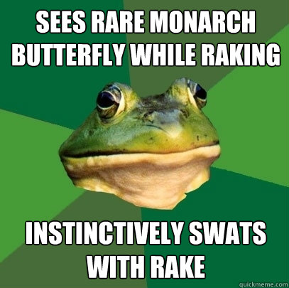 Sees rare monarch butterfly while raking instinctively swats with rake  Foul Bachelor Frog