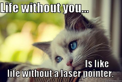 LIFE WITHOUT YOU...                                                           IS LIKE LIFE WITHOUT A LASER POINTER. First World Problems Cat