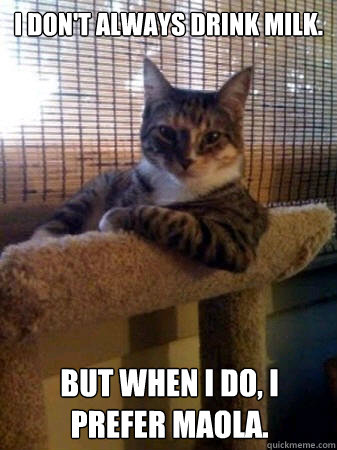 I don't always drink milk. But when I do, I prefer Maola.   The Most Interesting Cat in the World