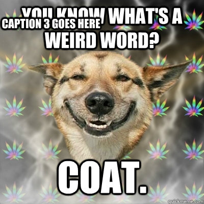 You know what's a weird word? Coat. Caption 3 goes here  Stoner Dog