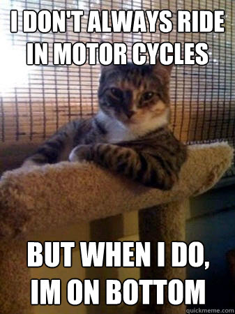 I don't always ride in motor cycles but when I do, im on bottom  The Most Interesting Cat in the World