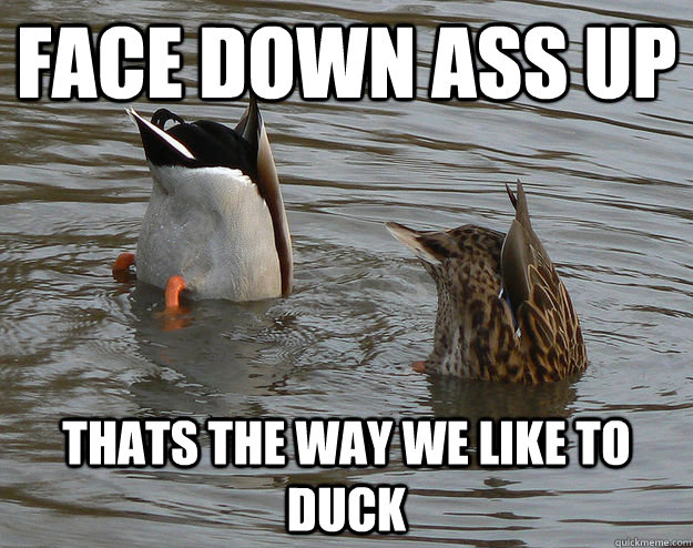 Face Down Ass Up Thats the way we like to duck - Face Down Ass Up Thats the way we like to duck  Misc