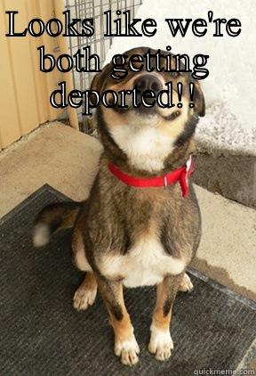 LOOKS LIKE WE'RE BOTH GETTING DEPORTED!!  Good Dog Greg