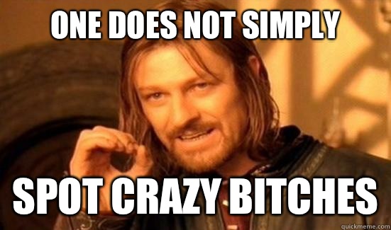 One Does Not Simply Spot crazy bitches  Boromir