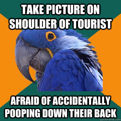 Take picture on shoulder of tourist Afraid of accidentally pooping down their back  Paranoid Parrot