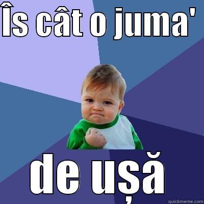 ÎS CÂT O JUMA'  DE UȘĂ Success Kid