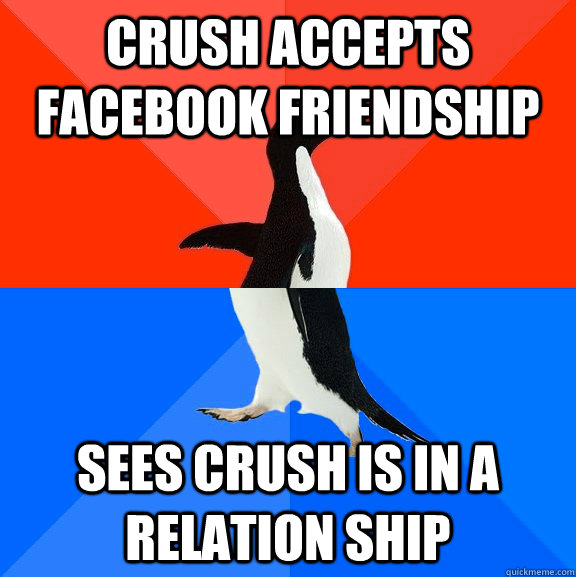 crush accepts facebook friendship sees crush is in a relation ship  Socially Awesome Awkward Penguin