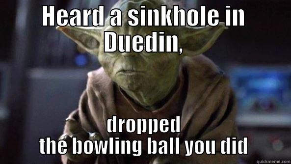 Yoda rules - HEARD A SINKHOLE IN DUEDIN, DROPPED THE BOWLING BALL YOU DID True dat, Yoda.
