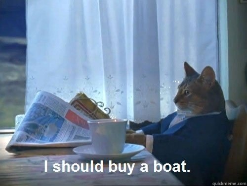       Fancy Cat