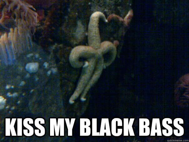  kiss my black bass     Sassy Starfish
