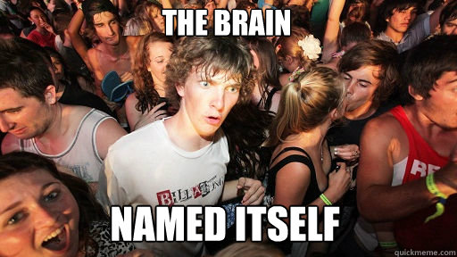 the brain  named itself  Sudden Clarity Clarence