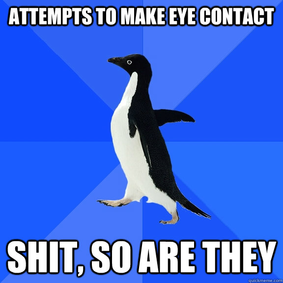 attempts to make eye contact shit, so are they  Socially Awkward Penguin