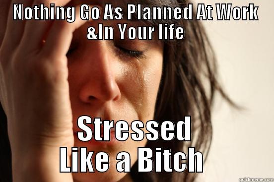 NOTHING GO AS PLANNED AT WORK &IN YOUR LIFE STRESSED LIKE A BITCH  First World Problems