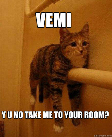 Vemi Y U NO TAKE ME TO YOUR ROom?  Monorail Cat