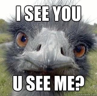 I SEE YOU U SEE ME? - I SEE YOU U SEE ME?  Seeing Ostrich