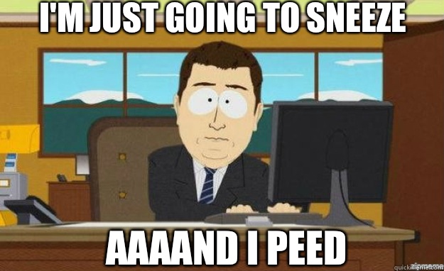 I'm just going to sneeze AAAAND I peed  aaaand its gone