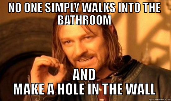 NO ONE SIMPLY WALKS INTO THE BATHROOM AND MAKE A HOLE IN THE WALL Boromir
