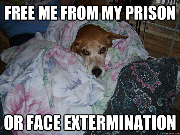 free me from my prison or face extermination   Annoyed Beagle